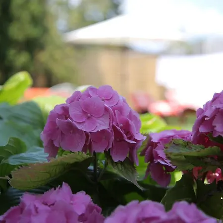 Simply Szallo Guest house *