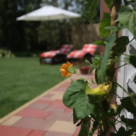 Simply Szallo Guest house Balatonboglar