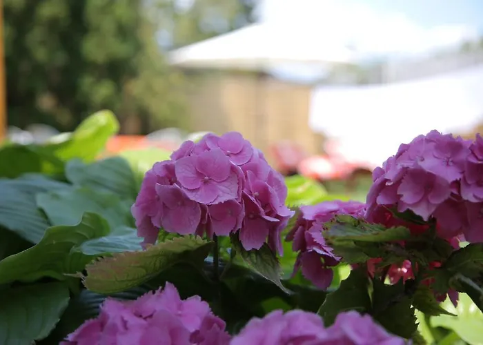 Simply Szallo בית הארחה *